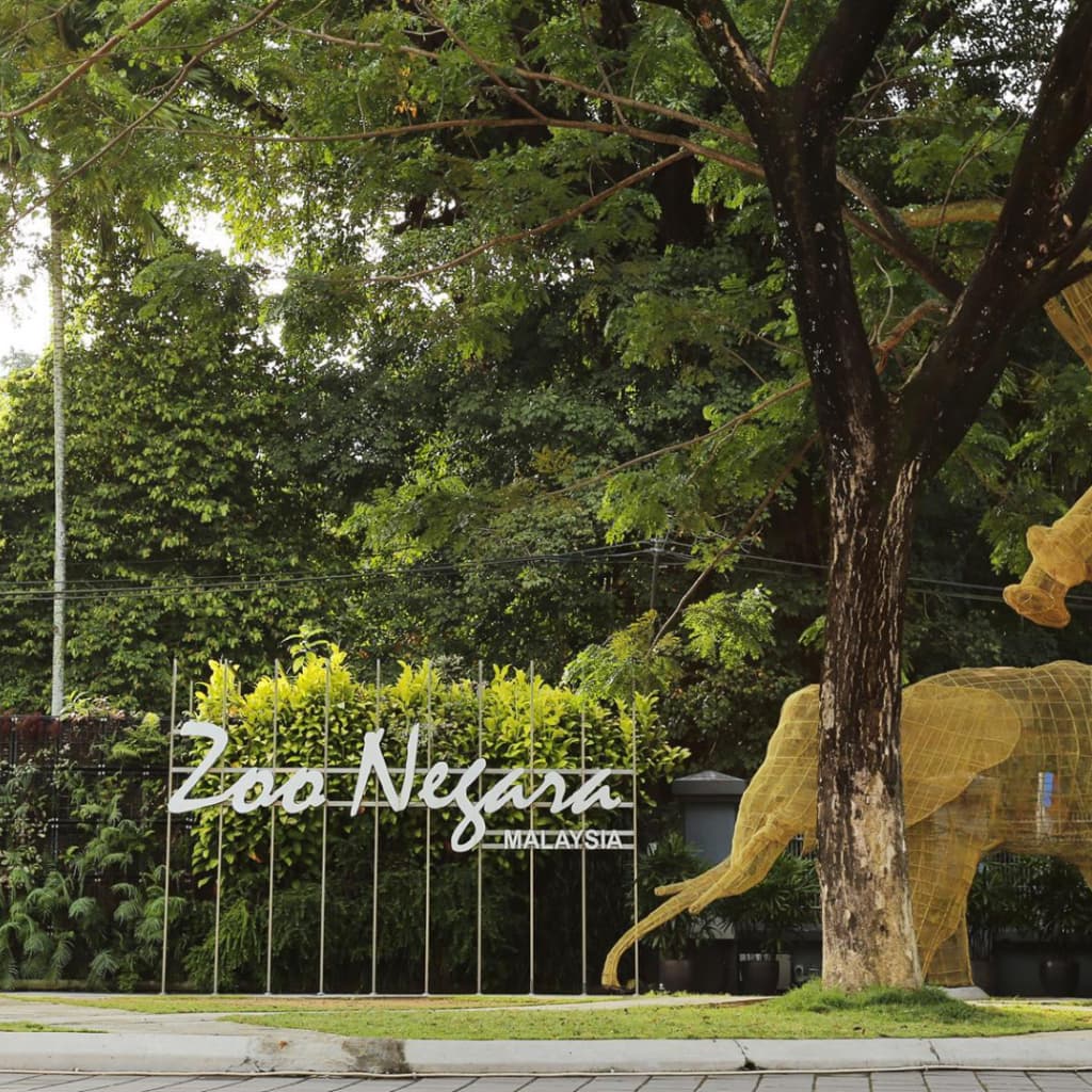 places to visit in kuala lumpur 2024 kuala lumpur zoo negara 